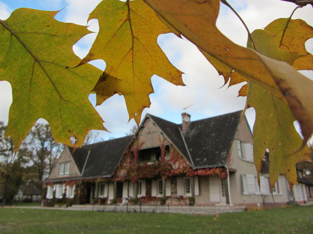Les Vieux Guays Bed & Breakfast Cerdon  Bagian luar foto